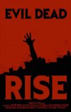 aevildeadriseposter001.jpg