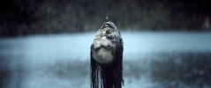 TeresasHead-EvilDeadBurn.jpg